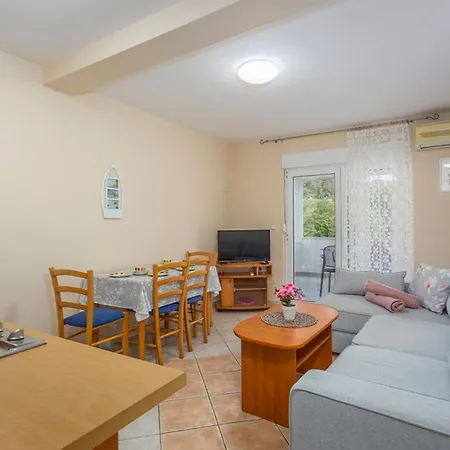 Apartment Totic *